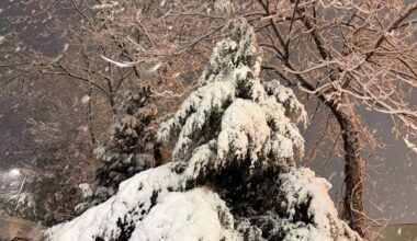 How many inches of snow fell in Philly, Maryland and Delaware?