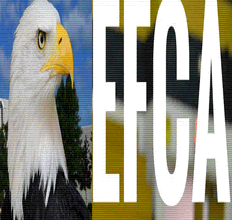 Avery Collins Leads a Balanced Attack to Beat Girard