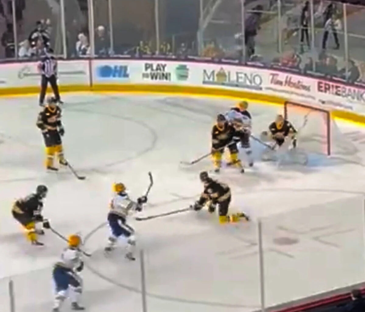 Download app from appStore