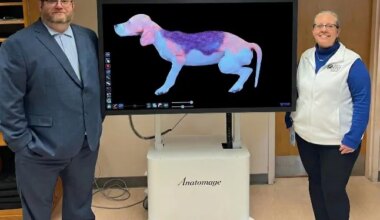 How businesses can help Oley Valley schools