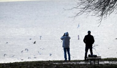 Your Christmas tree can benefit the fish at Blue Marsh Lake