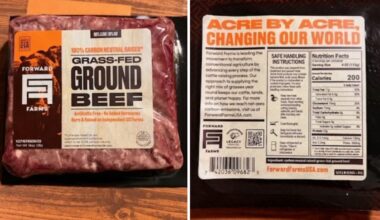 Company recalls ground beef sold in Pennsylvania due to E. coli – NBC10 Philadelphia