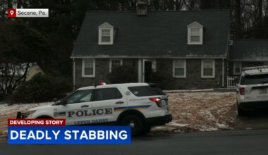 Woman accused of stabbing her daughter to death in Delaware County