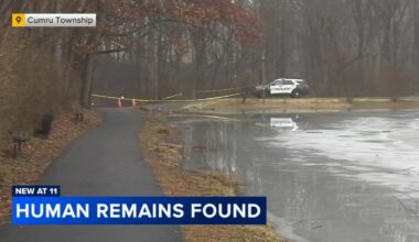 Human remains found in Cumru Township, Pa. by man walking dog