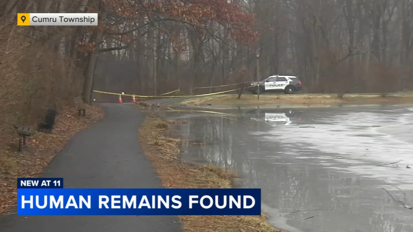 Human remains found in Cumru Township, Pa. by man walking dog