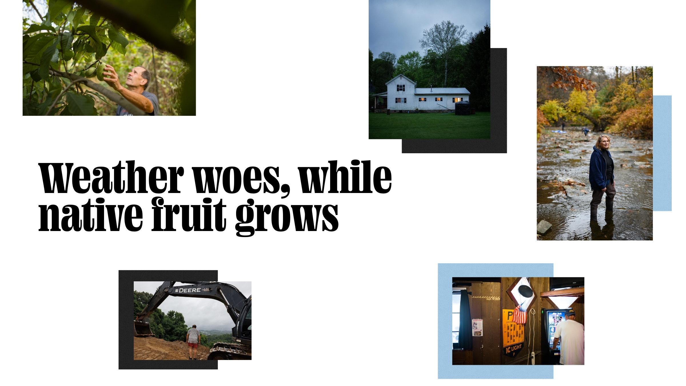 Collage with photos of people outdoors, farm equipment, and a house, centered around the headline "Weather woes, while native fruit grows.