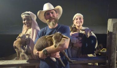 Local Farmer Provides Biblical Sheep for Bethlehem Revisited • Coral Springs Talk