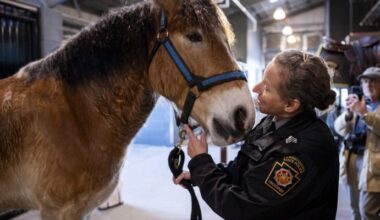 PSP Opens High-Tech Horse Stable in Hershey, First Step in $387M Overhaul