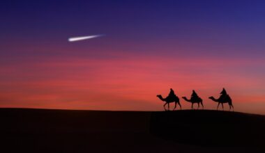The Star of Bethlehem: comet or early sat-nav?