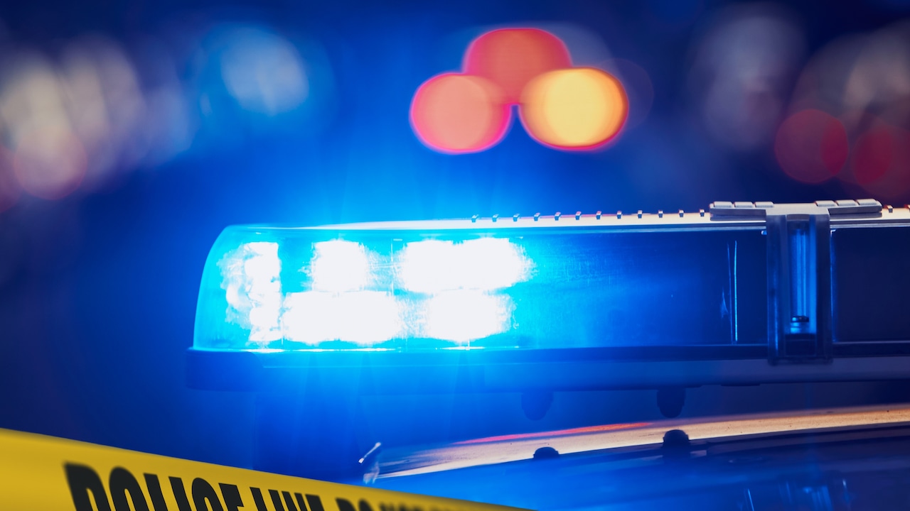 Lake County police officers rescue fleeing woman after she runs into Lake Erie