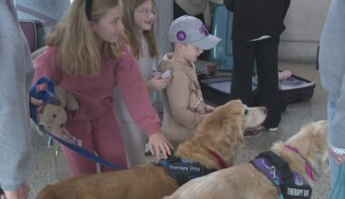 Erie Co. SPCA Therapy animals help travelers