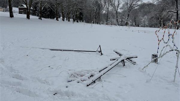 vandalism lights in the parkway allentown