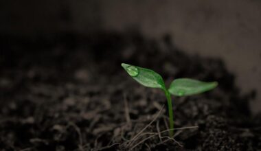 Northampton Co. farm to be preserved as part of Commonwealth's Farmland Preservation Program | Slate Belt Area