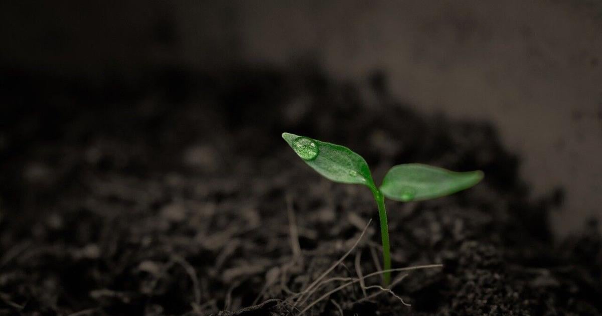 Northampton Co. farm to be preserved as part of Commonwealth's Farmland Preservation Program | Slate Belt Area