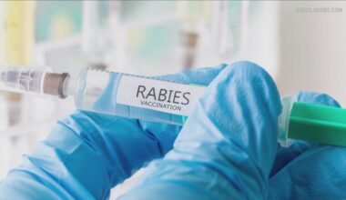 Erie County hosting free rabies vaccine clinic in 2026