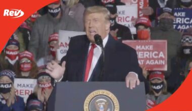 Donald Trump stands at a podium and speaks to a crowd at a rally.