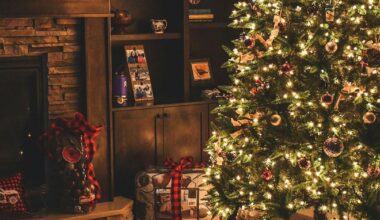 ‘The reindeer are healthy and ready to take flight’: Santa’s reindeer receive all-clear to embark on their Christmas journey across Pa. | Pennsylvania News