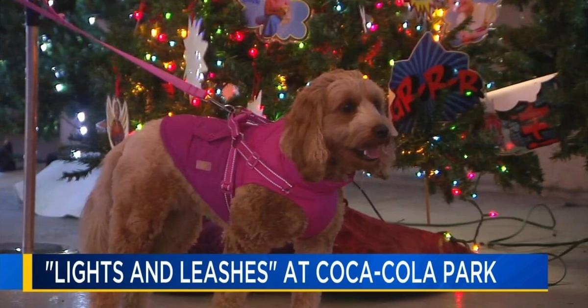 Holiday light show offers dog-friendly fun at Coca-Cola Park | Lehigh Valley Regional News