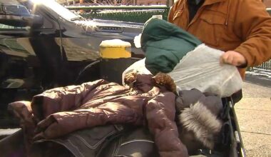 'Stay warm this winter': Hundreds of coats collected at second annual WFMZ Coat Drive with Reading Royals | Reading Area