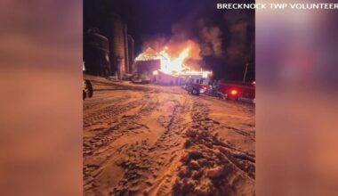 Cattle rescued from fire in South Heidelberg Twp. | Western-berks-county