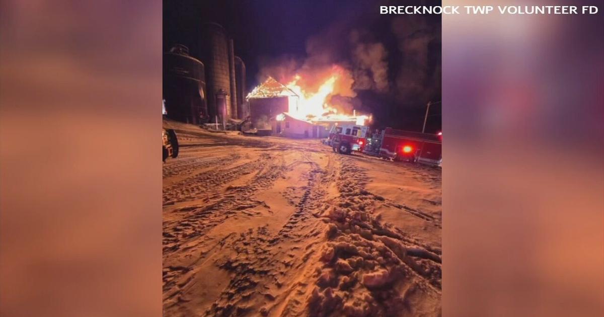 Cattle rescued from fire in South Heidelberg Twp. | Western-berks-county