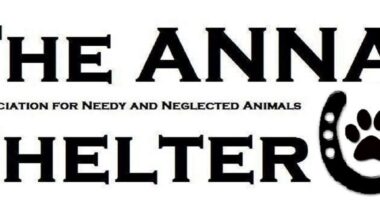 Two New Pups Join the Prison Dog Program at SCI Albion | News