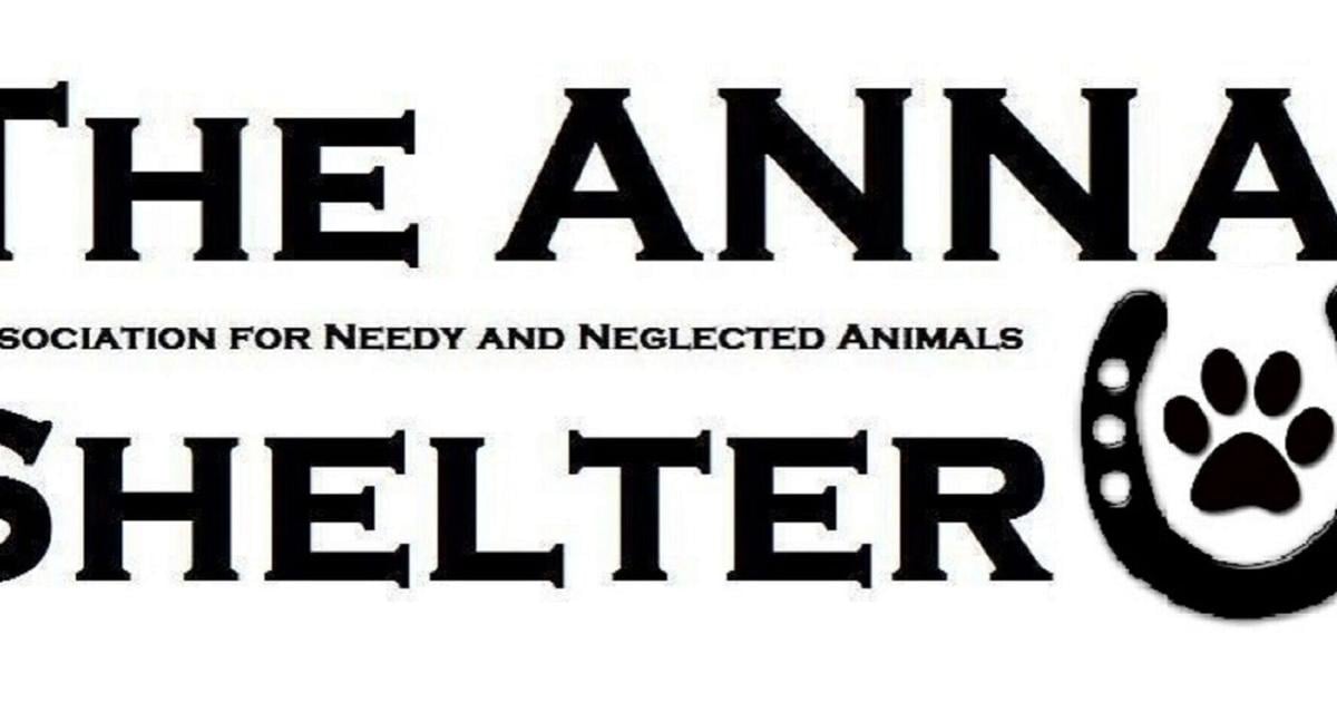 Two New Pups Join the Prison Dog Program at SCI Albion | News