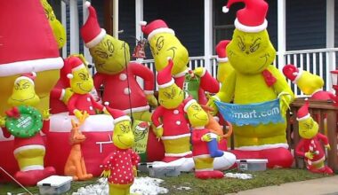 Northampton County man transforms yard into Whoville wonderland with 50+ Grinches | Northampton County
