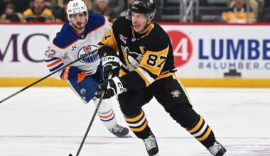 Billionaire Hoffmann family buys Pittsburgh Penguins | Sports