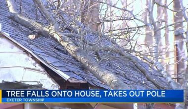 Tree falls onto Exeter Twp. home, injuring one and knocking out power | Berks Regional News