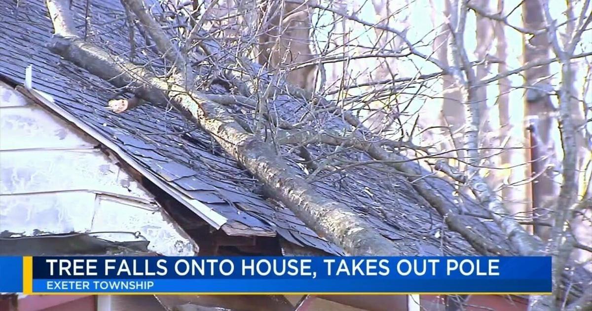 Tree falls onto Exeter Twp. home, injuring one and knocking out power | Berks Regional News