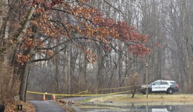 Police work to determine if human remains discovered in Flying Hills belong to missing man | Berks Regional News