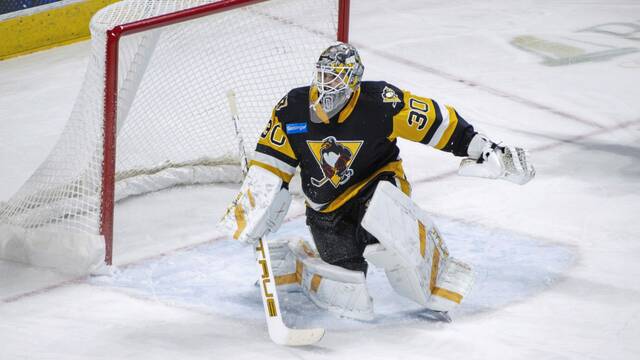 9104232_web1_ptr-pensblomqvist-120625