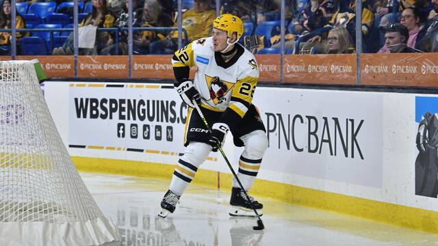 9104232_web1_ptr-penspoulin-110725