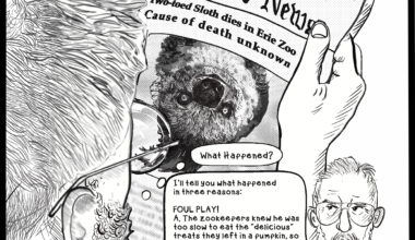 Fish That Talk: December 2025