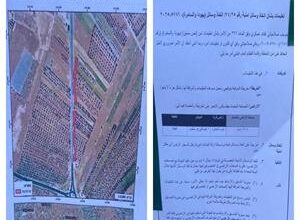 Israeli forces notify removal of hundreds of olive trees in Tuqu' village near Bethlehem