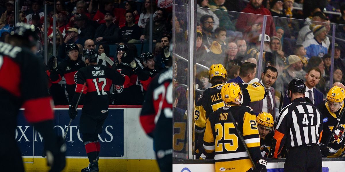 AHL Game Preview: Charlotte Checkers at Wilkes-Barre/Scranton Penguins with Projected Lines 12/30/25