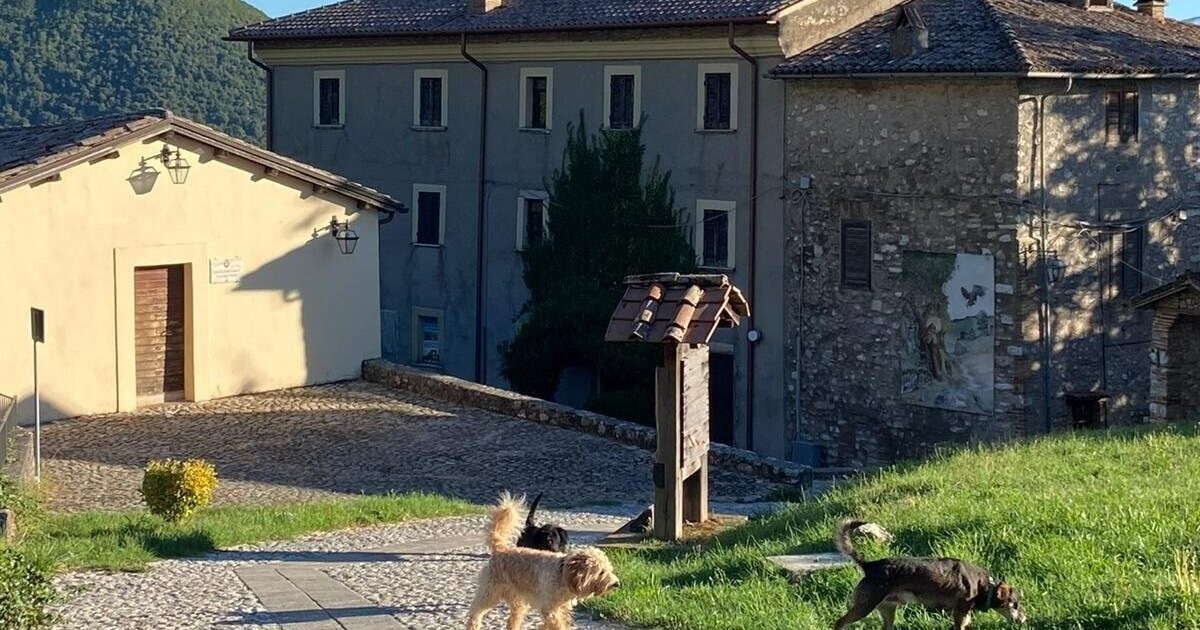 A dream of Bethlehem community: A house for the poor in village where St. Francis staged first Nativity