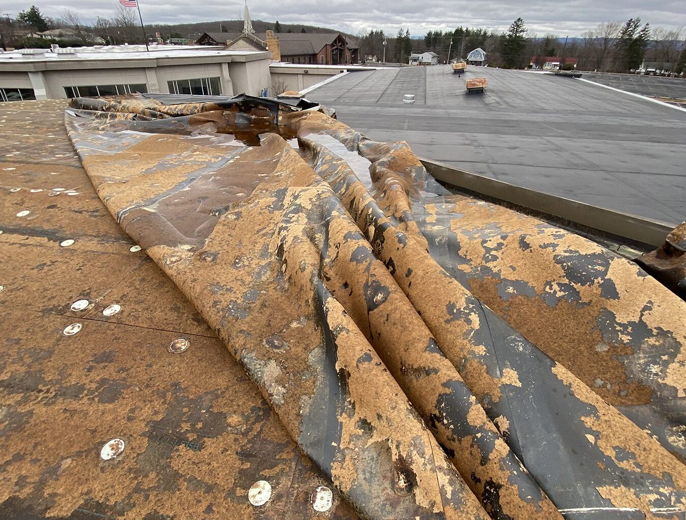 Diocese investing millions in school facilities projects – Diocese of Scranton