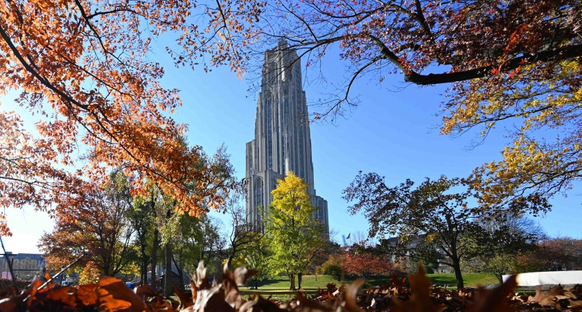 Chancellor updates Senate Council on Plan for Pitt initiatives, unionization, leadership changes | University Times