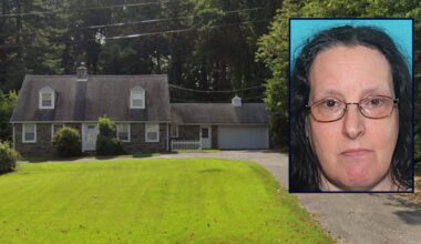 Dad returning from overnight shift with McDonald's breakfast for family finds daughter stabbed to death by wife, police say