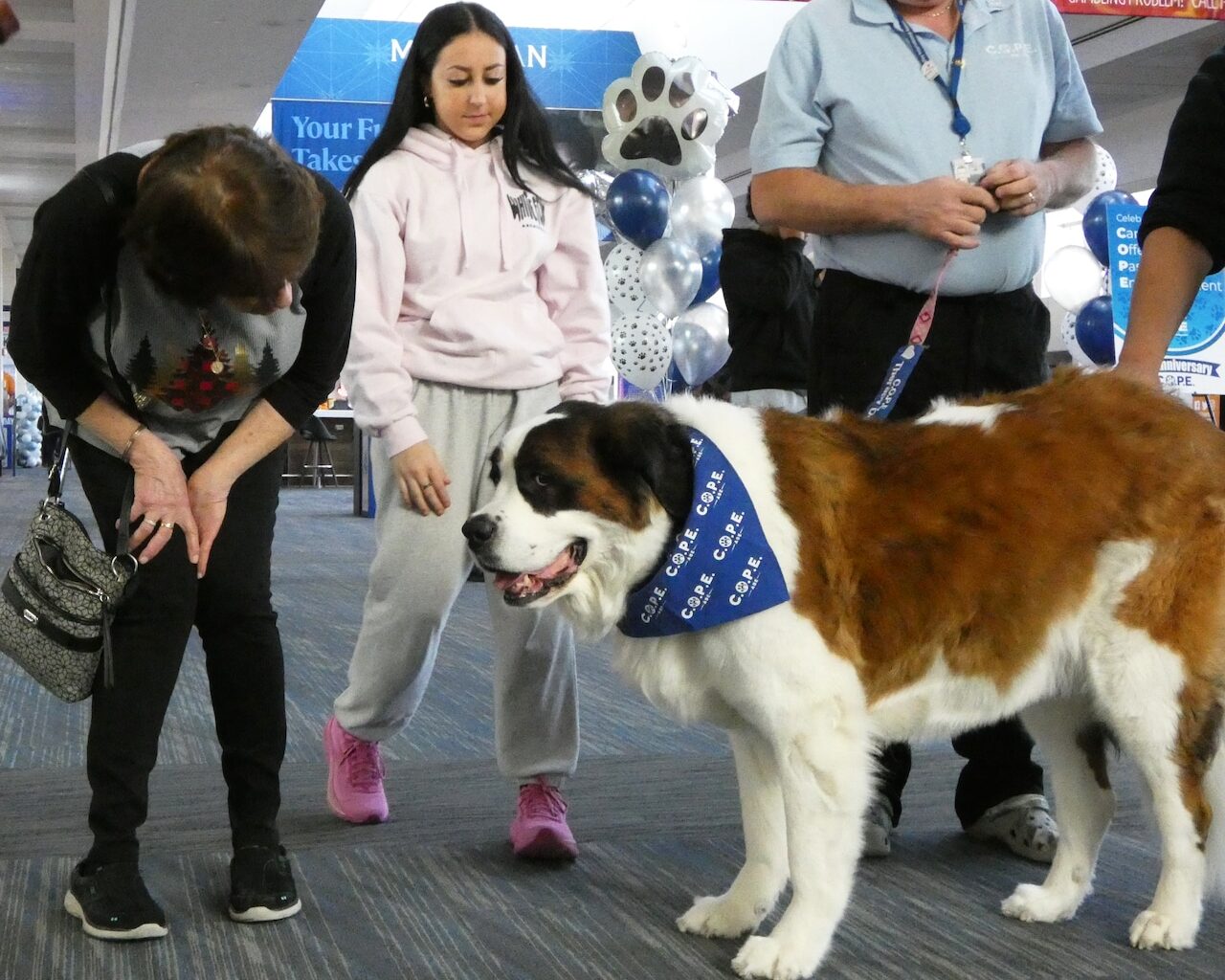 Lehigh Valley airport therapy dog program celebrates 10 years of passenger support (PHOTOS)