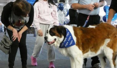 Lehigh Valley airport therapy dog program celebrates 10 years of passenger support (PHOTOS)