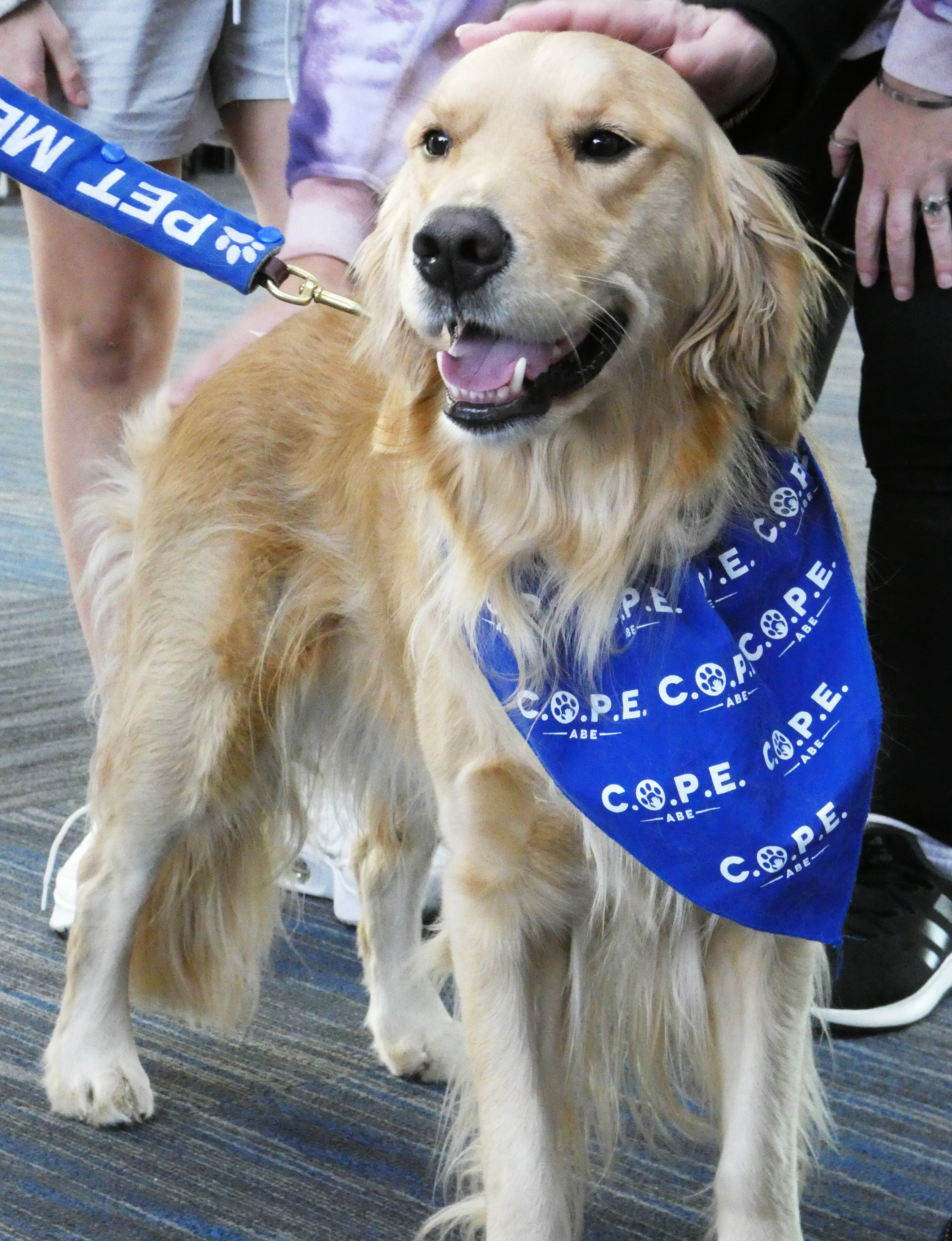 Caoimhe (Irish for beautiful), a golden retriever, joins owner Katie Dyer during a celebration Thursday, Dec. 18, 2025, of 10 years of the Canines Offering Passengers Encouragement (C.O.P.E.) program at Lehigh Valley International Airport. 