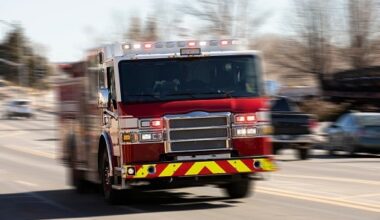 Horse rescued after falling into creek in central Berks