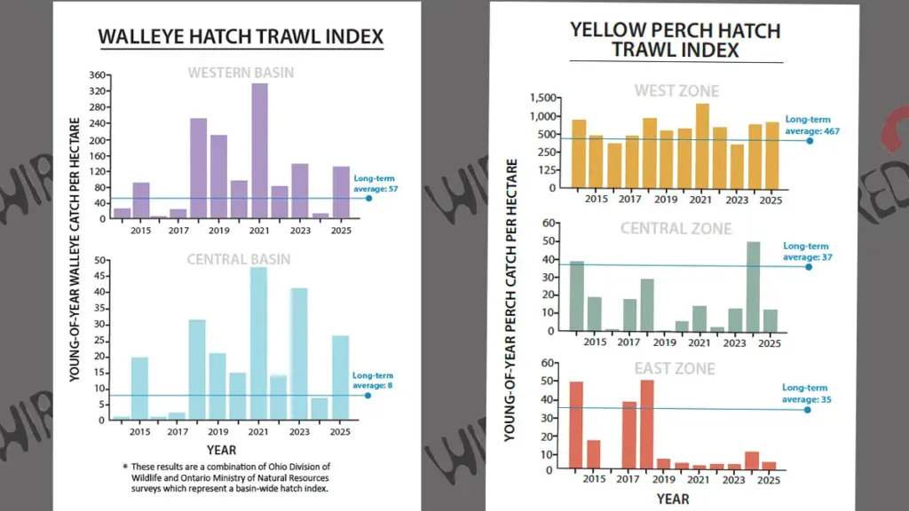 Lake Erie Trawl Index