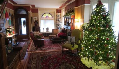 Reading Centre Park’s Holiday Tour returns with moonlight and self-guided options