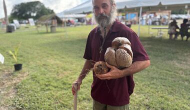 Photo Focus: Crucian Coconut Festival Celebrates Culture, Cuisine, and Community at Bethlehem Sugar Factory