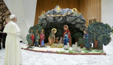 Christmas creche, tree are signs of hope, pope says – Diocese of Scranton
