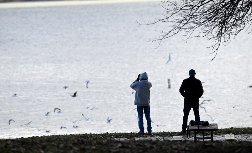 Your Christmas tree can benefit the fish at Blue Marsh Lake